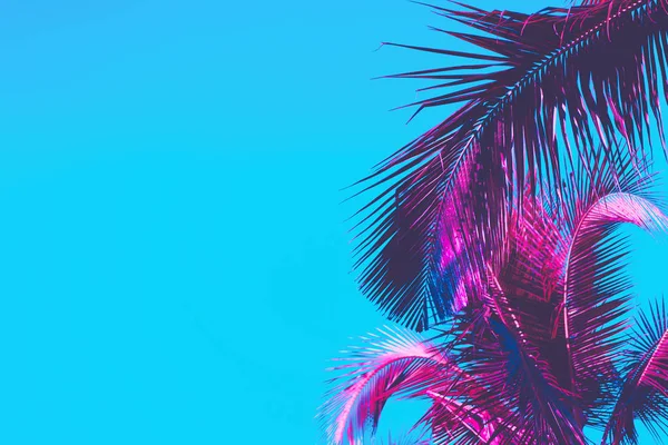 Copiar el espacio de la palmera tropical rosa en el cielo fondo abstracto. Vacaciones de verano y naturaleza viaje aventura concepto . —  Fotos de Stock