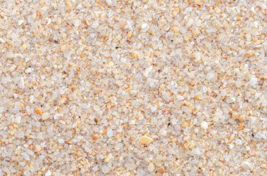 Kum plaj doku arka plan kopya alanı.