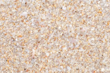 Kum plaj doku arka plan kopya alanı.