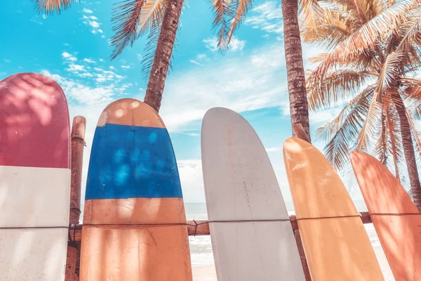 Deska surfingowa i palm tree na tle plaży. — Zdjęcie stockowe