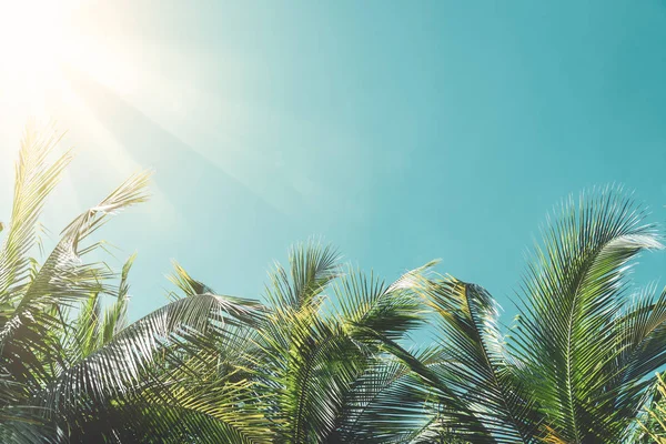 热带棕榈树与五颜六色的 bokeh 阳光在日落天空云彩抽象背景. — 图库照片