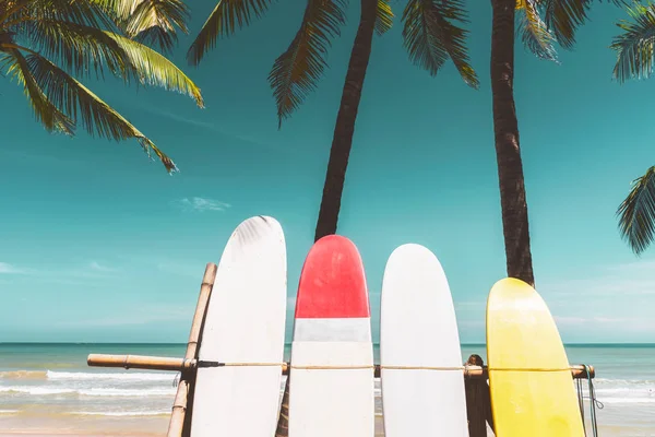 Surfboard and palm tree on beach background.