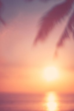 Güzel doğa yeşil palmiye yaprağı bokeh güneş ışık dalga arka plan ile tropik sahilde bulanıklık.