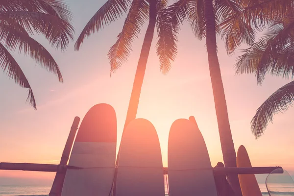 Planche de surf et palmier sur fond de plage . — Photo