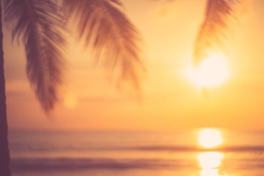 Güzel doğa yeşil palmiye yaprağı bokeh güneş ışık dalga arka plan ile tropik sahilde bulanıklık.