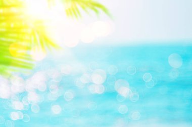 Güzel doğa yeşil palmiye yaprağı bokeh güneş ışık dalga arka plan ile tropik sahilde bulanıklık.