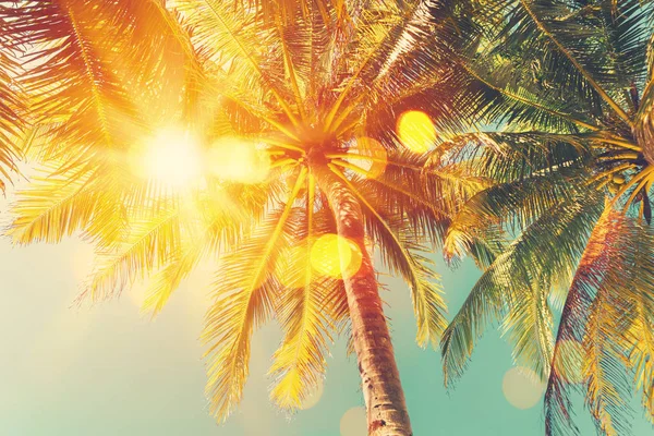 Palmeira tropical com luz solar bokeh colorido no pôr do sol céu nuvem fundo abstrato . — Fotografia de Stock