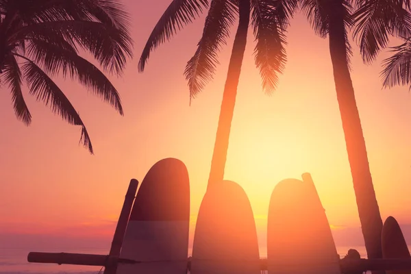 Planche de surf et palmier sur fond de plage . — Photo