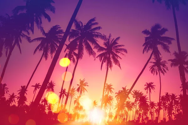 Tropical palm tree with colorful bokeh sun light on sunset sky cloud abstract background. — Stock Photo, Image