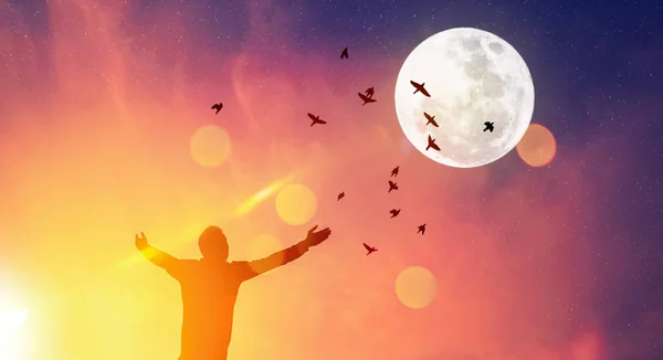 복사 공간 남자는 일몰 하늘에 손을 올리고 새는 보름달 추상적 인 배경으로 비행. — 스톡 사진