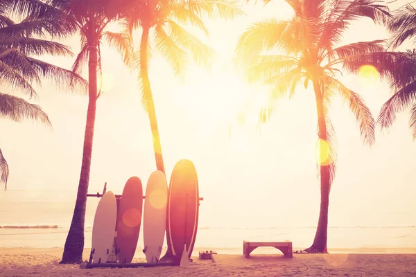 Серфінг і пальма на фоні пляжу . — стокове фото