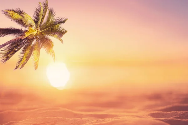 Verschwimmen schöne Natur grüne Palmenblatt am tropischen Strand mit Bokeh Sonne Licht Welle abstrakten Hintergrund. — Stockfoto