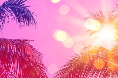 Gökyüzü soyut arka plan üzerinde kopya uzay pembe tropikal palmiye ağacı. Yaz tatili ve doğa seyahat macera konsepti.