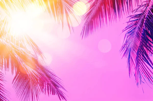 Kopiuj przestrzeń różowy tropikalny Palma na niebie abstrakcyjne tło. Koncepcja letnich wakacji i podróży przyrodniczych. — Zdjęcie stockowe