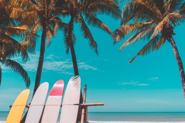 Plaj arka plan üzerinde sörf tahtası ve palmiye ağacı.