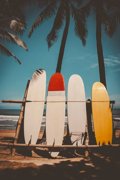 Surfboard and palm tree on beach background.