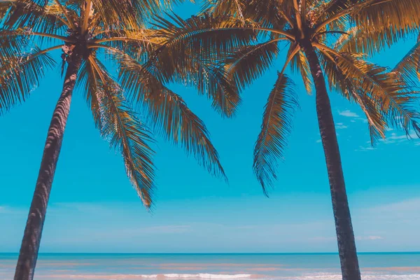 复制热带海滩空间，在蓝天和白云抽象背景上与棕榈树. — 图库照片