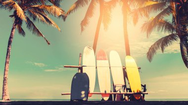 Plaj arka plan üzerinde sörf tahtası ve palmiye ağacı.