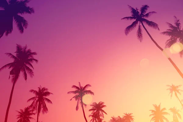 Palmera tropical con colorida luz solar bokeh sobre fondo abstracto de nubes de cielo al atardecer . —  Fotos de Stock