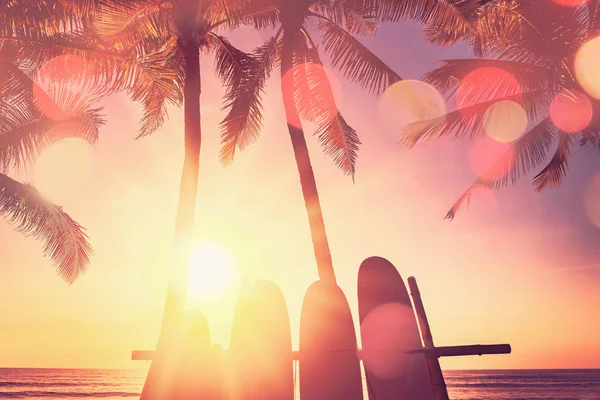 Prancha de surf e palmeira no fundo da praia . — Fotografia de Stock