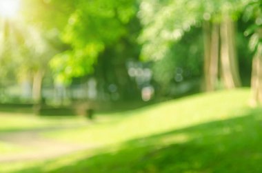 Yeşil doğa parkı ile güneş ışık arka plan bulanıklık.