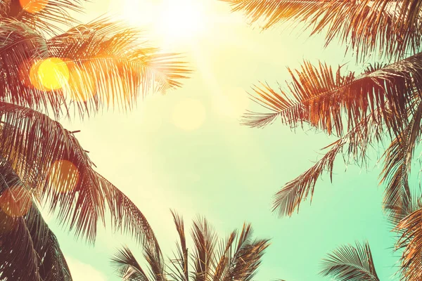 Trópusi pálmafákkal és színes bokeh a napfény, napnyugtakor ég felhő absztrakt háttér. — Stock Fotó