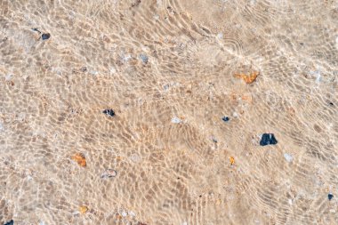 Kum plajı ve deniz kabuğu dokusunun soyut arkaplanı kopyala. Yaz tatili ve seyahat rahatlama konsepti. Klasik ton filtre efekti renk biçimi.