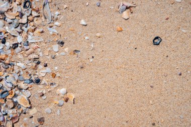 Kum plajı ve deniz kabuğu dokusunun soyut arkaplanı kopyala. Yaz tatili ve seyahat rahatlama konsepti. Klasik ton filtre efekti renk biçimi.