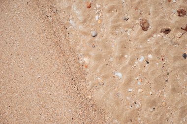 Kum plajı ve deniz kabuğu dokusunun soyut arkaplanı kopyala. Yaz tatili ve seyahat rahatlama konsepti. Klasik ton filtre efekti renk biçimi.