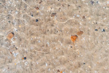 Kum plajı ve deniz kabuğu dokusunun soyut arkaplanı kopyala. Yaz tatili ve seyahat rahatlama konsepti. Klasik ton filtre efekti renk biçimi.