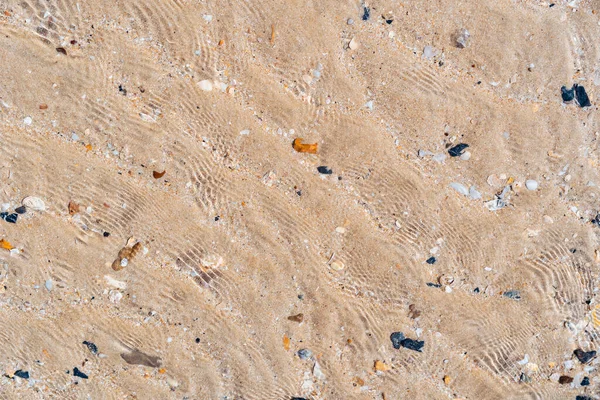 Kopieren Sie Raum Von Sandstrand Und Muschel Textur Abstrakten Hintergrund — Stockfoto