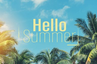 Tropikal palmiye ağacı arka planındaki yaz sözcüklerine merhaba. Yaz tatili ve seyahat tatili konsepti. Klasik ton filtre efekti renk biçimi.