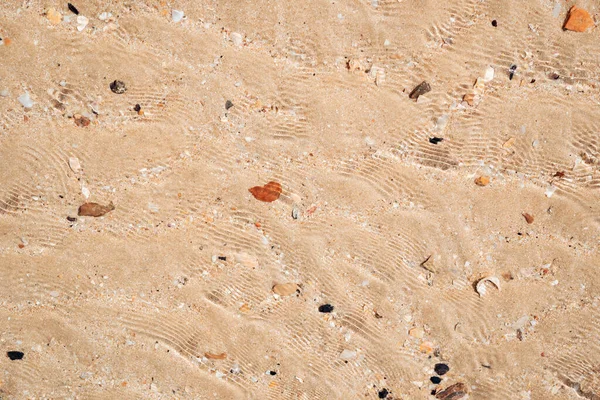 Kopieren Sie Raum Von Sandstrand Und Muschel Textur Abstrakten Hintergrund — Stockfoto