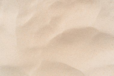 Kum plajı ve deniz kabuğu dokusunun soyut arkaplanı kopyala. Yaz tatili ve seyahat rahatlama konsepti. Klasik ton filtre efekti renk biçimi.