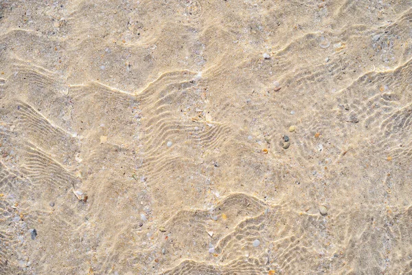 Kopieren Sie Raum Von Sandstrand Und Muschel Textur Abstrakten Hintergrund — Stockfoto