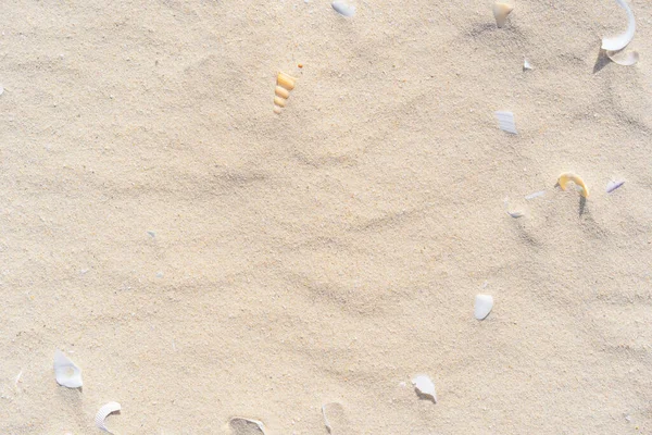 Kum plajı ve deniz kabuğu dokusunun soyut arkaplanı kopyala. Yaz tatili ve seyahat rahatlama konsepti. Klasik ton filtre efekti renk biçimi.