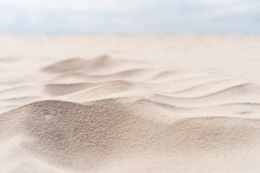 Kum plajı ve deniz kabuğu dokusunun soyut arkaplanı kopyala. Yaz tatili ve seyahat rahatlama konsepti. Klasik ton filtre efekti renk biçimi.