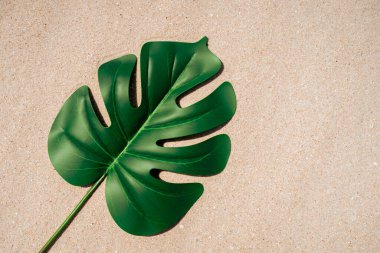 Kum plajı dokusunda tropik yeşil yaprak soyut arkaplan. Tasarım ürünü presantasyonu ve yaz tatili konsepti için kopyalama alanı. Klasik ton filtre efekti renk biçimi.