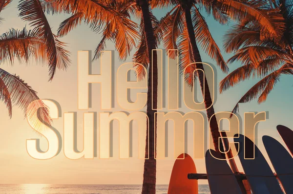 Hello Summer Words Tropical Palm Tree Background Summer Vacation Travel — Stock Photo, Image