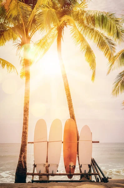 Surfboard Και Φοίνικα Στην Παραλία Διπλή Έκθεση Πολύχρωμο Bokeh Ήλιο — Φωτογραφία Αρχείου