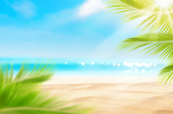 Blur Pięknej Przyrody Zielony Liść Palmowy Tropikalnej Plaży Bokeh Słońce — Zdjęcie stockowe