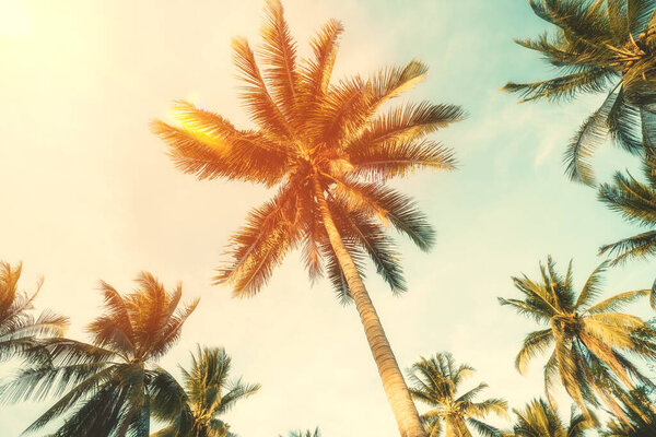 Скопируйте пространство силуэта тропической пальмы с солнечным светом на небе заката и абстрактным фоном облака. Концепция летнего отдыха и путешествия на природу. Стиль цветового эффекта пастельного тона.