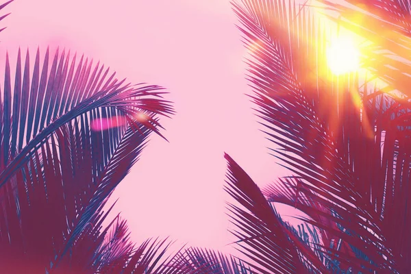 Kopieer Ruimte Van Silhouet Tropische Palmboom Met Zonlicht Zonsondergang Hemel — Stockfoto