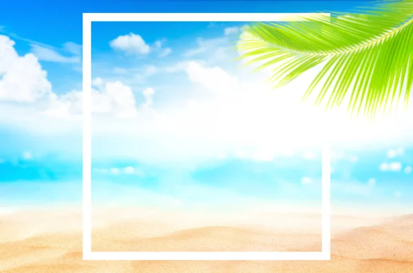 在热带海滩上模糊美丽的自然绿色棕榈叶和白相框抽象背景的Bokeh 复制空间暑假和商务旅行的概念 复古色调过滤效果色彩风格 — 图库照片