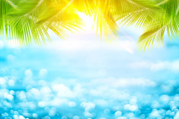美しい自然の緑のヤシの葉をぼかし 熱帯のビーチに墨色の太陽の光波の抽象的な背景 夏休みとビジネス旅行のコンセプトのスペースをコピーします ヴィンテージトーンフィルターエフェクトカラースタイル — ストック写真