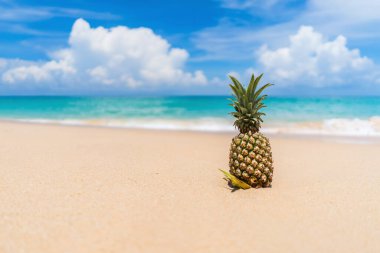 Tropik plaj arka planında ananas. Yaz tatili ve sağlıklı gıda konsepti.