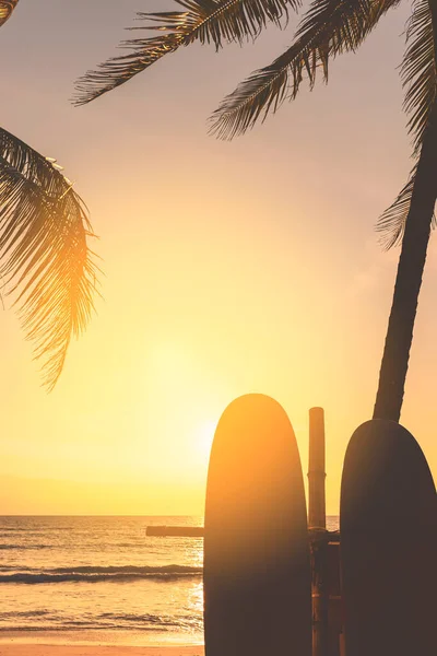 Surfbrett Und Palme Strand Doppelbelichtung Mit Bunten Bokeh Sonne Licht — Stockfoto