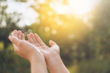 Kadın gün batımına kadar elini açık tut gökyüzü ve yeşil yaprak bokeh güneş ışığı soyut arkaplan. Klasik ton filtre efekti renk biçimi.