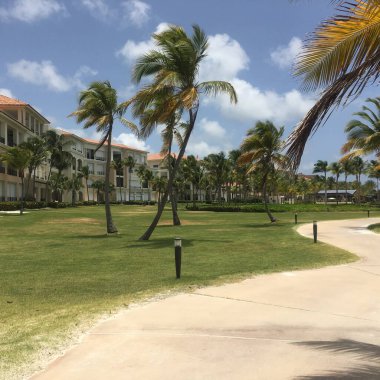 Evlerin arka planında Cap Cana kentindeki tropikal park