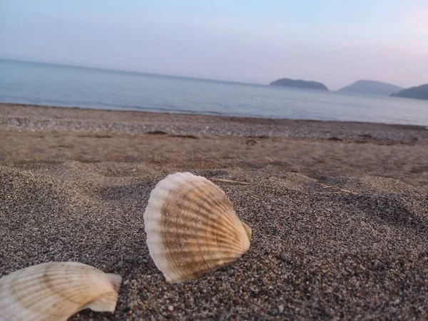 Die Schärpe Wabert Sand Gegen Das Morgendliche Japanische Meer Wladiwostok — Stockfoto